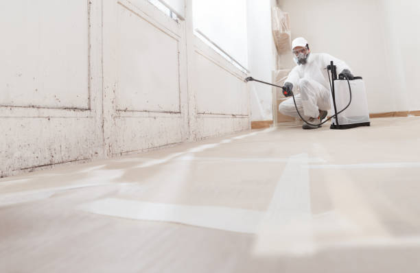 24/7 Emergency Attic Mold Removal experts in Coatesville, PA
